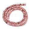 Natural Sea Shell Beads Strands SHEL-K006-75-2