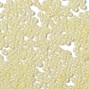 Glass Seed Beads X1-SEED-H002-E-A1401-3