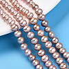 Natural Cultured Freshwater Pearl Beads Strands PEAR-N016-06C-02-2