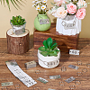 1 Bag Stainless Steel Rectangular Number Plates with Two Holes STAS-SC0021-06-4