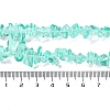 Transparent Glass Beads Strands GLAA-P060-01A-08-4