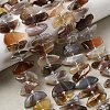Natural Botswana Agate Beads Strands G-L649-A06-01-1