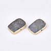 Electroplate Natural Labradorite Beads G-S344-96-2