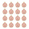 Golden Plated Alloy Enamel Charms LS-ENAM-S118-07H-2