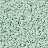 MIYUKI Delica Beads SEED-X0054-DB1506-3