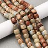 Natural Aqua Terra Jasper Beads Strands G-L624-D03-8x6mm-1