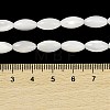 Natural Trochus Shell Beads Strands BSHE-G036-06B-4