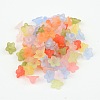 Mixed Color Frosted Transparent Acrylic Flower Beads X-M-PL554-3