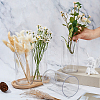 PET Vases AJEW-WH0485-61-3