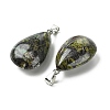 Natural Dragon Blood Pendants GG-K002-09V-2