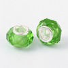 Handmade Glass European Beads GPDL25Y-17-2