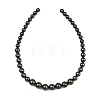 Electroplated Shell Pearl Graduated Beads Strands BSHE-C011-04-02-5