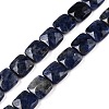 Natural Sodalite Beads Strands G-T138-169-4