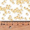 6/0 Glass Seed Beads SEED-Z001-B-E21-4