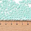 Baking Paint Glass Seed Beads SEED-B001-02A-14-4