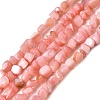 Natural Freshwater Shell Beads Strands SHEL-A006-07-1
