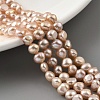Natural Cultured Freshwater Pearl Beads Strands PEAR-A006-03F-2
