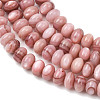 Natural Sea Shell Beads Strands SHEL-K006-75-3