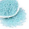 6/0 Transparent Inside Colours Glass Seed Round Beads SEED-N006-004B-1