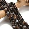 Natural Banded Agate Beads Strands G-Z111-A01-03-1