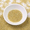 MIYUKI Delica Beads X-SEED-J020-DB0042-2
