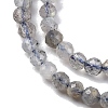 Natural Labradorite Beads Strands G-G188-B11-01-4