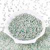 Baking Paint Glass Seed Beads SEED-Q041-03A-02-2