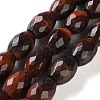 Dyed Natural Tiger Eye Beads Strands G-C135-J02-01-2