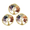Natural Quartz Crystal & Amethyst & Lapis Lazuli & Green Aventurine & Yellow Quartz & Carnelian & Red Jasper Chip Beaded Tree of Life Chakra Big Pendants G-Z101-07G-1