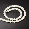 Natural Trochid Shell/Trochus Shell Beads Strands SSHEL-K012-04A-2