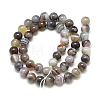 Natural Botswana Agate Beads Strands G-S150-24-8mm-2