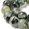 Natural Prehnite Beads Strands G-G457-10mm-03-7