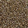 MIYUKI Delica Beads SEED-X0054-DB2396-3