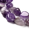 Natural Amethyst Beads Strands G-P568-C03-01-4