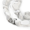 Natural Howlite Beads Strands G-P497-01C-64-4