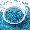 MIYUKI Round Rocailles Beads SEED-JP0009-RR0433-2