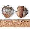 Natural Picasso Jasper Pendants GG-K002-12A-27-3