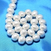 Oval Shell Pearl Bead Strands BSHE-L013-S-A013A-3