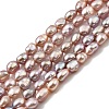 Natural Cultured Freshwater Pearl Beads Strands PEAR-I007-01P-04A-2