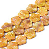 Natural Freshwater Shell Beads Strands LS-SHEL-Q025-002E-1