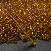 TOHO 6/0 Round Beads SEED-XTR06-2155-2