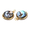 Natural Abalone Shell/Paua Shell Pendants G-K341-16G-3