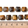 Natural Tiger Eye Beads Strands G-L642-L03-10mm-02-5