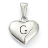 304 Stainless Steel Pendants LS-STAS-P278-01G-P-1