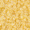 8/0 Glass Seed Beads X1-SEED-A011-3mm-142-2