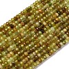 Faceted Rondelle Natural Green Garnet Beads Strands G-F289-40B-5