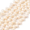 Natural Cultured Freshwater Pearl Beads Strands PEAR-I007-04F-01A-2