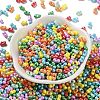 Glass Seed Beads SEED-L011-04A-17-2