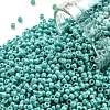 TOHO 11/0 Round Beads SEED-XTR11-0413-1