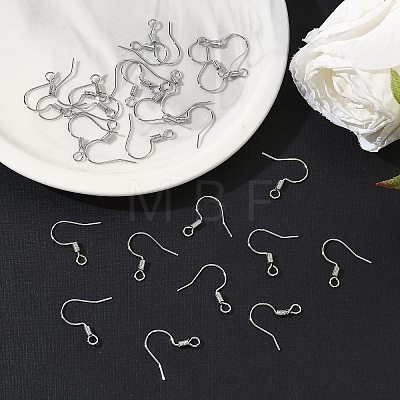 SHEGRACE Brass Earring Hooks XGR0140P-153P-1